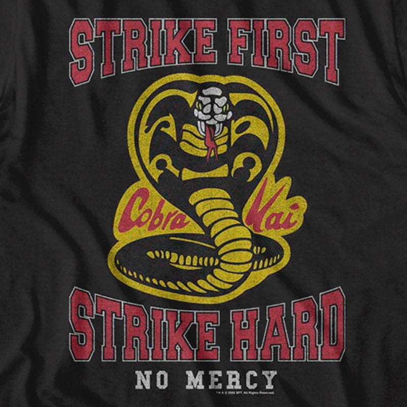 Cobra Kai No Mercy The Karate Kid MMA Fighters Adult T-Shirt – MMA CUSTOMS