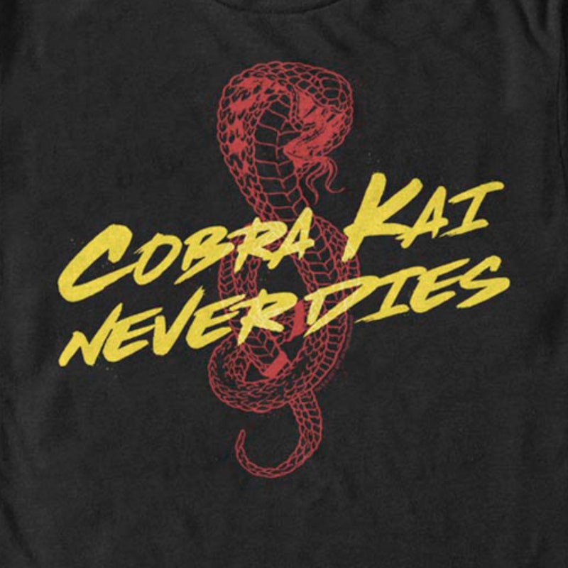 MathieuBerGougnoux William Zabka The Logo of Cobra Kai Vintage T-Shirt, Johnny Lawrence Shirt, Cobra Kai Shirt, TV Series Shirt, Martial Art Shirt