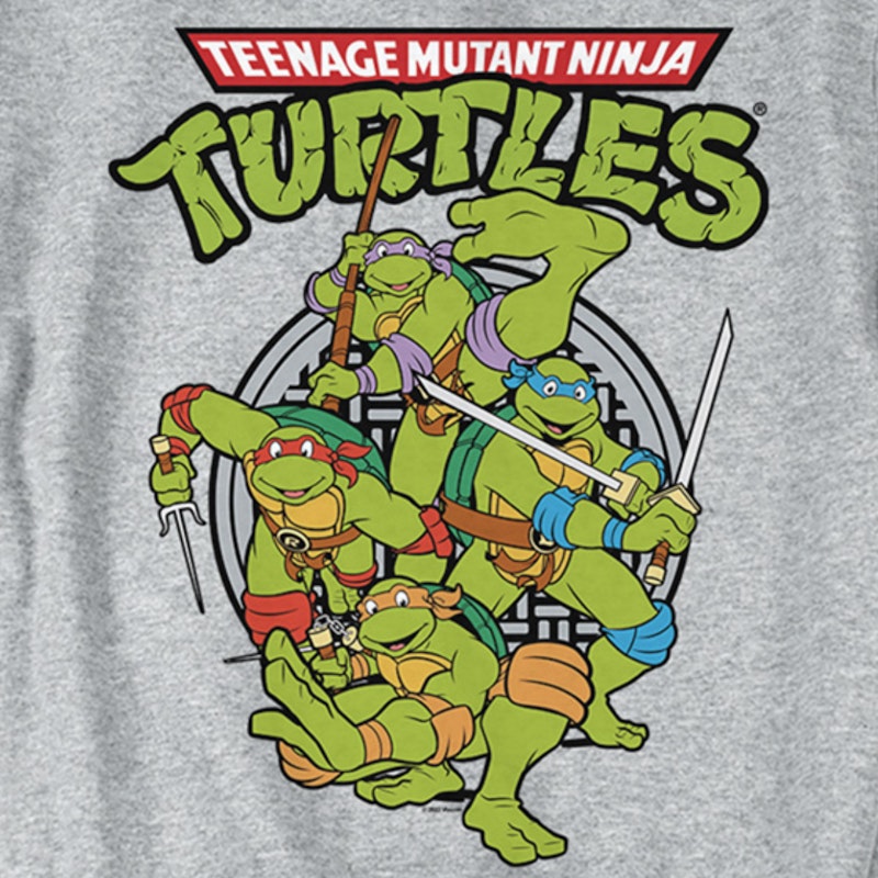 Big & Tall Men's Teenage Mutant Ninja Turtles Graphic Tee - Black Heather - Size 2XLT, Men's