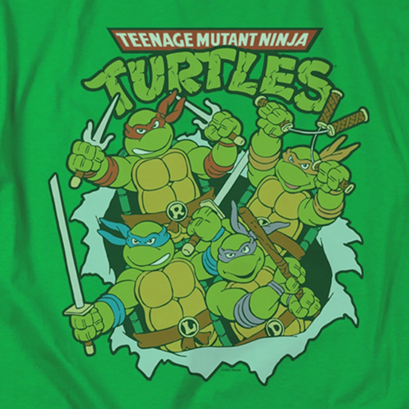 Boy's Teenage Mutant Ninja Turtles Leonardo Costume T-Shirt - Kelly Green -  X Small